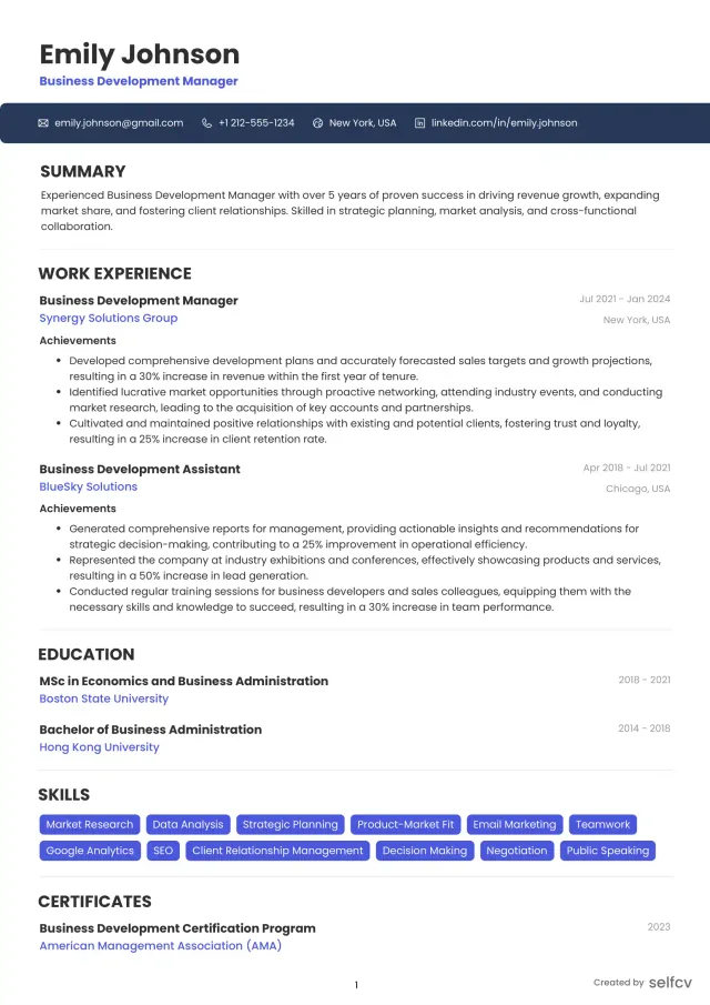 Professional resume example preview