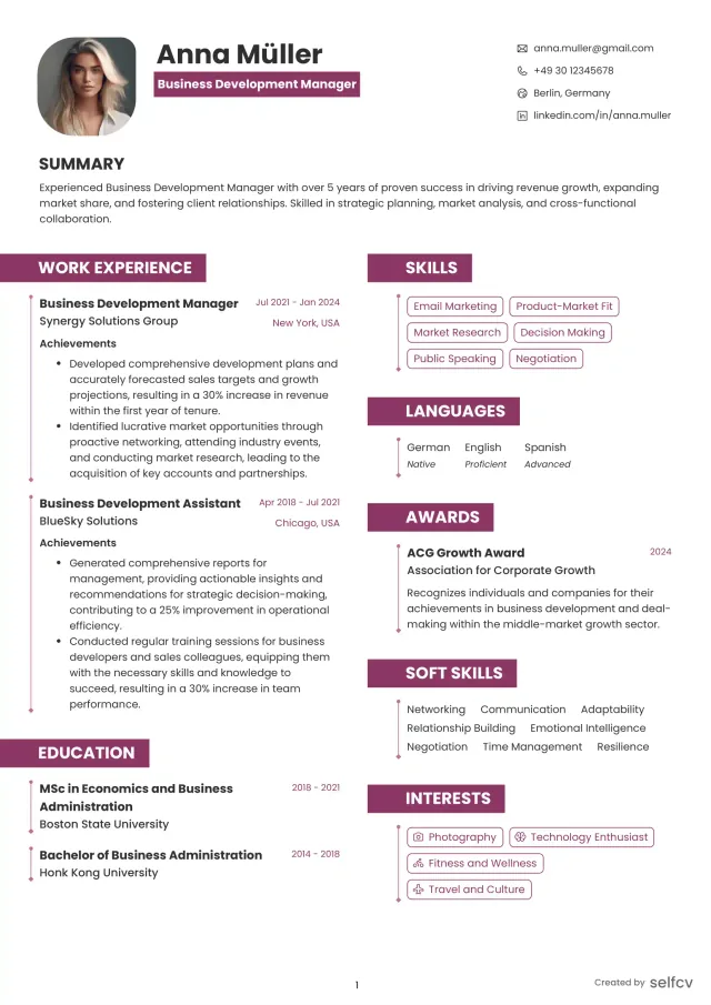 Professional resume example preview