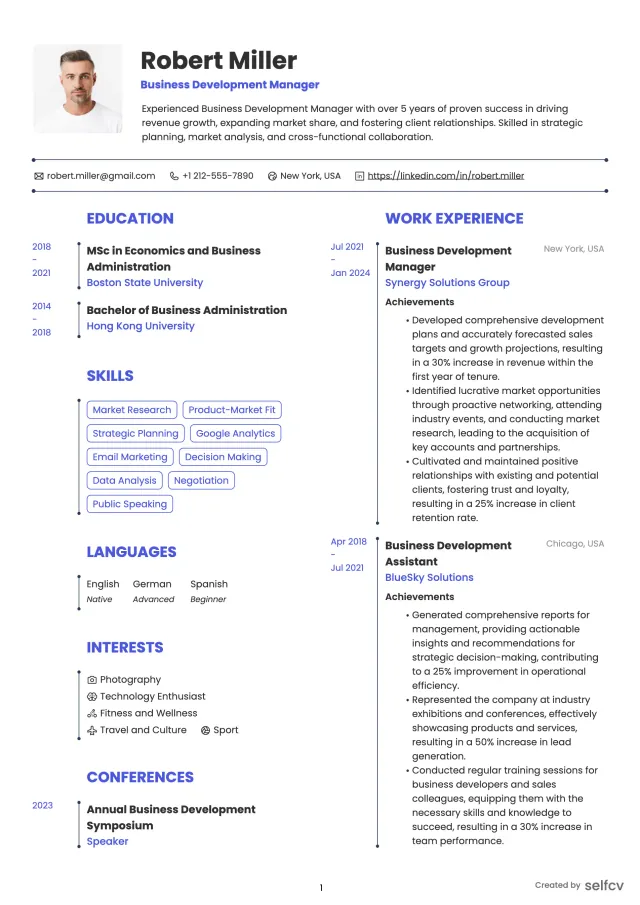 Professional resume example preview